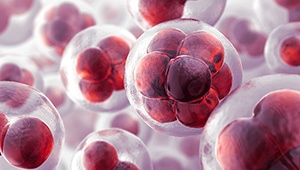 日本発！最多の幹細胞培養液導入！
